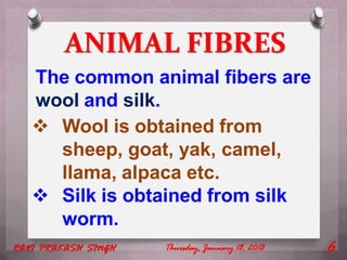 ANIMAL FIBRES
Thursday, January 18, 2018RAVI PRAKASH SINGH 6
The common animal fibers are
wool and silk.
 Wool is obtained from
sheep, goat, yak, camel,
llama, alpaca etc.
 Silk is obtained from silk
worm.
 