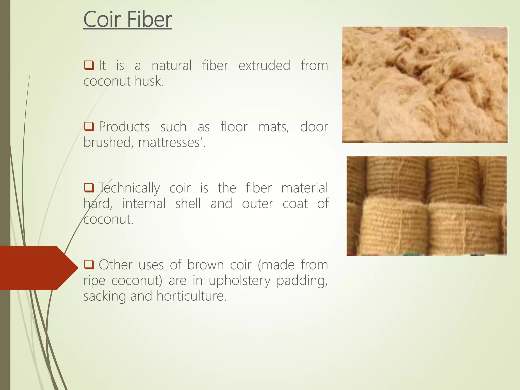 Coir Fiber
 It is a natural fiber extruded from
coconut husk.
 Products such as floor mats, door
brushed, mattresses'.
 Technically coir is the fiber material
hard, internal shell and outer coat of
coconut.
 Other uses of brown coir (made from
ripe coconut) are in upholstery padding,
sacking and horticulture.
 