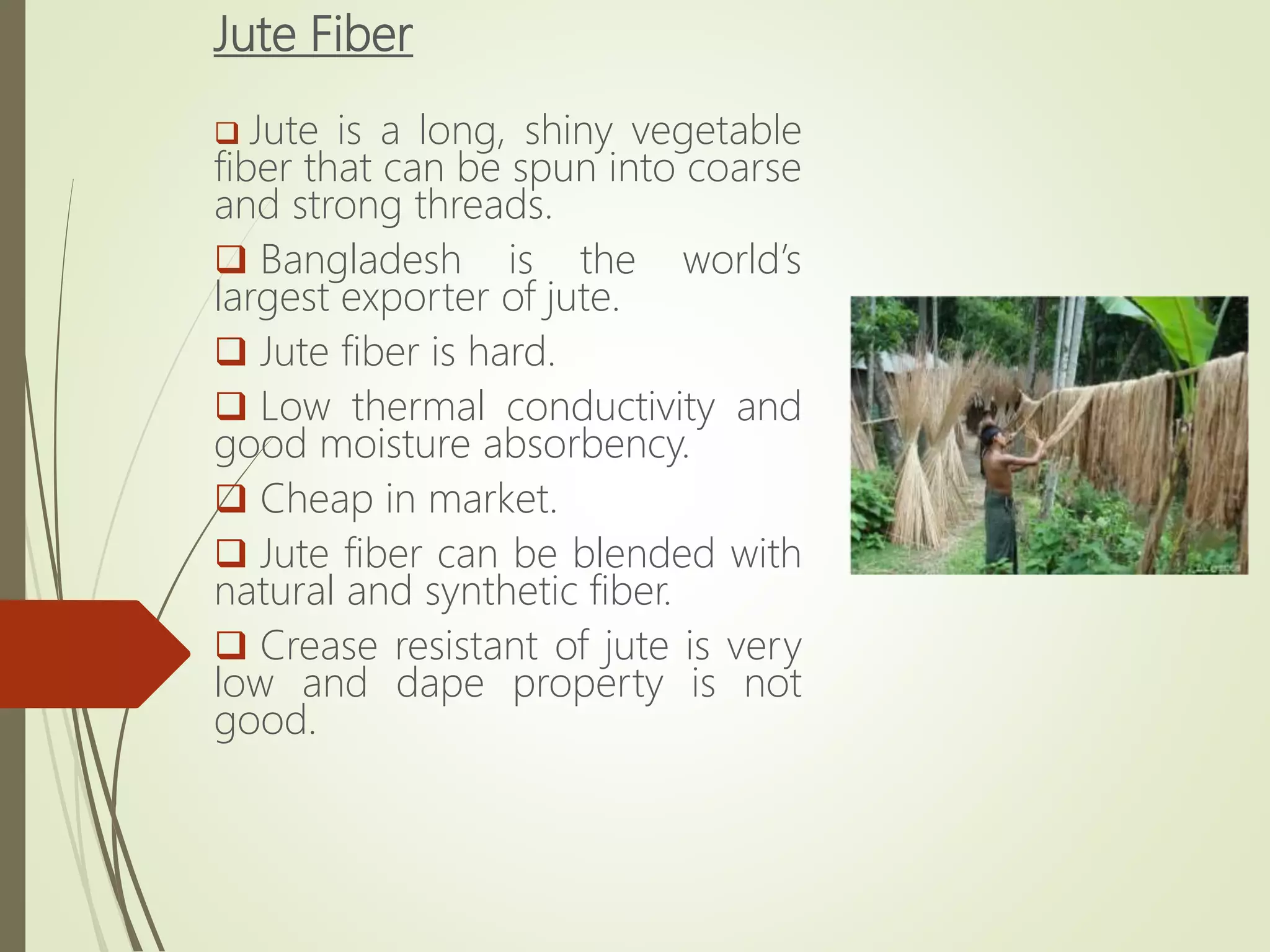 Jute Fiber
 Jute is a long, shiny vegetable
fiber that can be spun into coarse
and strong threads.
 Bangladesh is the world’s
largest exporter of jute.
 Jute fiber is hard.
 Low thermal conductivity and
good moisture absorbency.
 Cheap in market.
 Jute fiber can be blended with
natural and synthetic fiber.
 Crease resistant of jute is very
low and dape property is not
good.
 