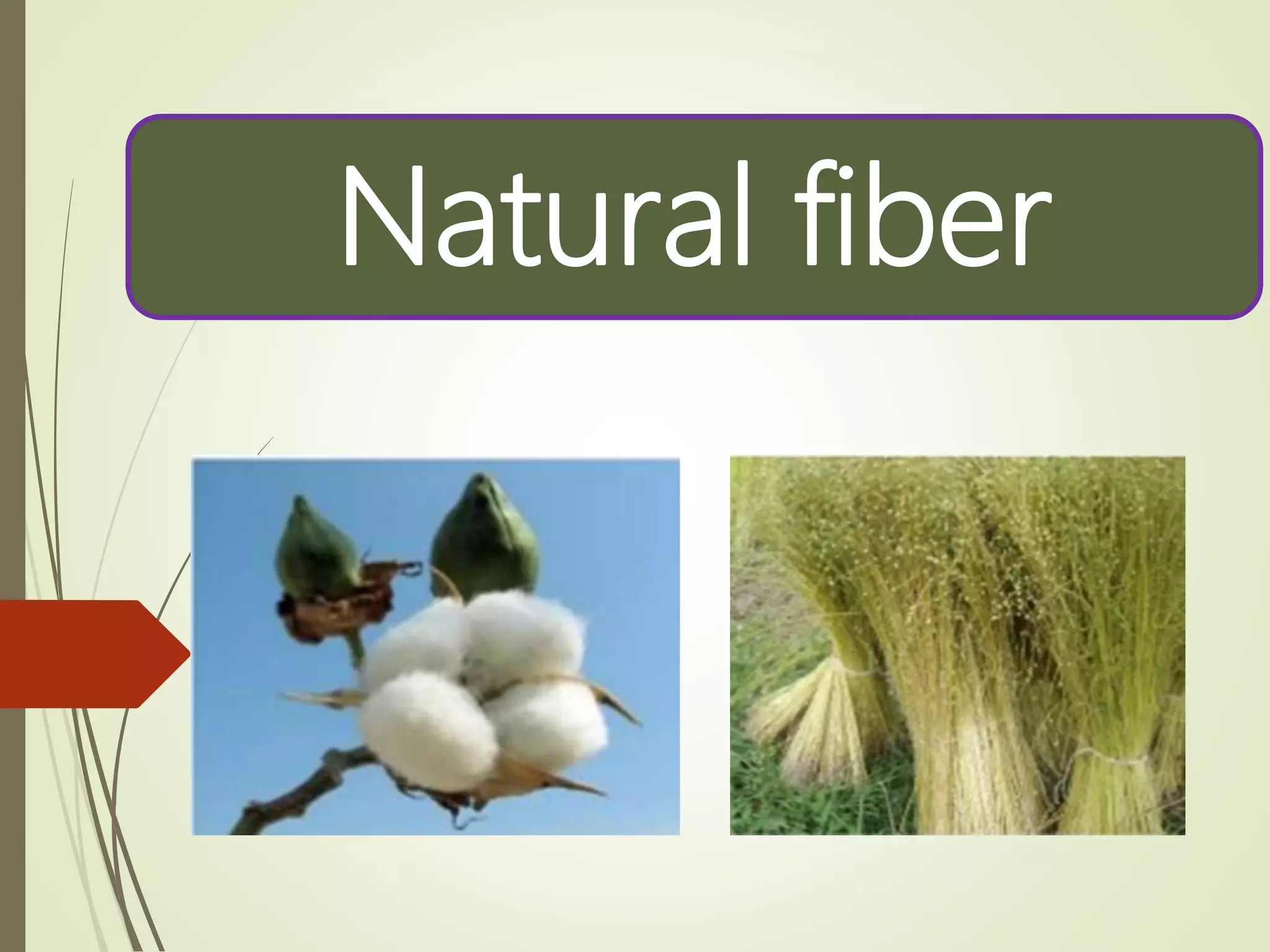 Natural fiber
 