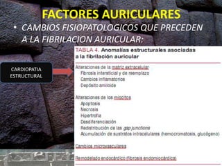 FACTORES AURICULARES
• CAMBIOS FISIOPATOLOGICOS QUE PRECEDEN
A LA FIBRILACION AURICULAR:
CARDIOPATIA
ESTRUCTURAL REMODELADO
-DISOCIACION ELECTRICA
-HETEROGENEIDAD DE LA
CONDUCCION LOCAL
INICIO Y PERPETUACION
DE fa
PRODUCCION DE
MULTIPLES
CIRCUITOS DE
REENTRADA
 