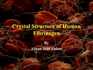 Crystal Structure of Human
Fibrinogen
By
Afnan Said Zuiter
 