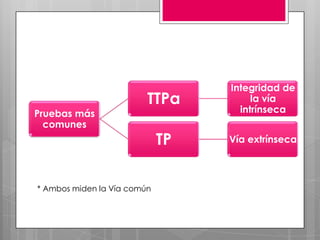 Pruebas más
comunes

TTPa

Integridad de
la vía
intrínseca

TP

Vía extrínseca

* Ambos miden la Vía común

 