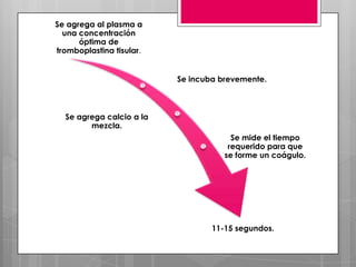 Se agrega al plasma a
una concentración
óptima de
tromboplastina tisular.
Se incuba brevemente.

Se agrega calcio a la
mezcla.
Se mide el tiempo
requerido para que
se forme un coágulo.

11-15 segundos.

 