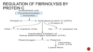 Fibrinolysis system | PPTX