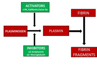 PLASMINOGEN
FIBRIN
FRAGMENTS
FIBRIN
PLASMIN
ACTIVATORS
t-PA, Kallikrein,Factor Xa
INHIBITORS
α2 Antiplasmin
α2 Macroglobulin
 