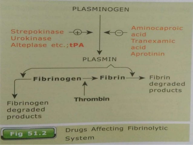 Fibrinolytics And Antifibrinolytics - 