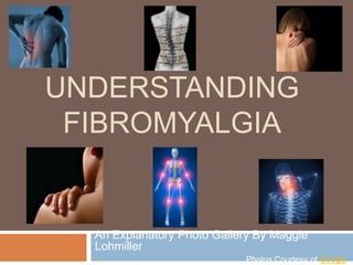 Understanding Fibromyalgia An Explanatory Photo Gallery By Maggie Lohmiller Photos Courtesy of Google 