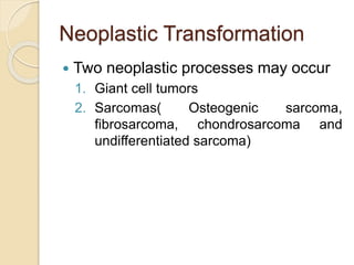 Neoplastic Transformation 
 Two neoplastic processes may occur 
1. Giant cell tumors 
2. Sarcomas( Osteogenic sarcoma, 
fibrosarcoma, chondrosarcoma and 
undifferentiated sarcoma) 
 