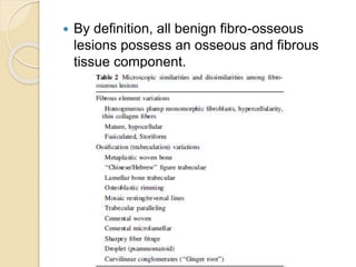  By definition, all benign fibro-osseous 
lesions possess an osseous and fibrous 
tissue component. 
 