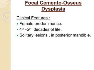 Focal Cemento-Osseus 
Dysplasia 
Clinical Features : 
 Female predominance. 
 4th -5th decades of life. 
 Solitary lesions , in posterior mandible. 
 