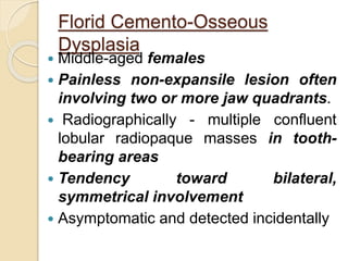 Florid Cemento-Osseous 
Dysplasia 
 Middle-aged females 
 Painless non-expansile lesion often 
involving two or more jaw quadrants. 
 Radiographically - multiple confluent 
lobular radiopaque masses in tooth-bearing 
areas 
 Tendency toward bilateral, 
symmetrical involvement 
 Asymptomatic and detected incidentally 
 