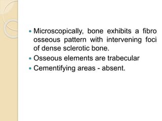  Microscopically, bone exhibits a fibro 
osseous pattern with intervening foci 
of dense sclerotic bone. 
 Osseous elements are trabecular 
 Cementifying areas - absent. 
 