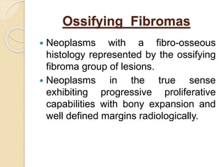 Ossifying Fibromas 
 Neoplasms with a fibro-osseous 
histology represented by the ossifying 
fibroma group of lesions. 
 Neoplasms in the true sense 
exhibiting progressive proliferative 
capabilities with bony expansion and 
well defined margins radiologically. 
 