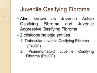 Juvenile Ossifying Fibroma 
 Also known as Juvenile Active 
Ossifying Fibroma and Juvenile 
Aggressive Ossifying Fibroma. 
 2 clinicopathologic entities 
1. Trabecular Juvenile Ossifying Fibroma 
( TrJOF) 
2. Psammomatoid Juvenile Ossifying 
Fibroma (PsJOF) 
 