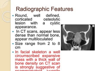 Radiographic Features 
 Round, well defined, 
corticated osteolytic 
lesion with a cystic 
appearance. 
 In CT scans, appear less 
dense than normal bone, 
appear multiloculated 
 Size range from 2 to 8 
cm 
 In facial skeleton a well 
circumscribed expansive 
mass with a thick wall of 
bone density on CT scan 
is strongly suggestive of 
psammomatoid juvenile 
 