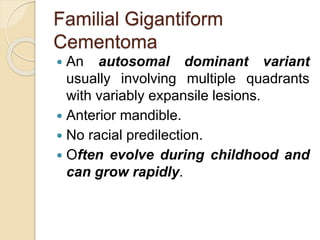 Familial Gigantiform 
Cementoma 
 An autosomal dominant variant 
usually involving multiple quadrants 
with variably expansile lesions. 
 Anterior mandible. 
 No racial predilection. 
 Often evolve during childhood and 
can grow rapidly. 
 