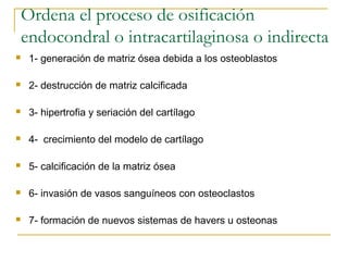 Ordena el proceso de osificación
endocondral o intracartilaginosa o indirecta
 1- generación de matriz ósea debida a los osteoblastos
 2- destrucción de matriz calcificada
 3- hipertrofia y seriación del cartílago
 4- crecimiento del modelo de cartílago
 5- calcificación de la matriz ósea
 6- invasión de vasos sanguíneos con osteoclastos
 7- formación de nuevos sistemas de havers u osteonas
 