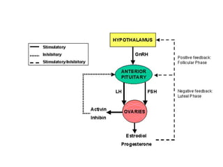 Management Of Fibroids | PPT