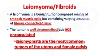 Leiomyoma/Fibroids
• A leiomyoma is a benign tumor composed mainly of
smooth muscle cells but containing varying amounts
of fibrous connective tissue.
• The tumor is well circumscribed but not
encapsulated
•Leiomyomata are the most common
tumors of the uterus and female pelvis
 
