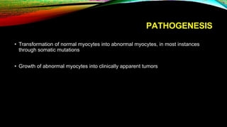 PATHOGENESIS
• Transformation of normal myocytes into abnormal myocytes, in most instances
through somatic mutations
• Growth of abnormal myocytes into clinically apparent tumors
 