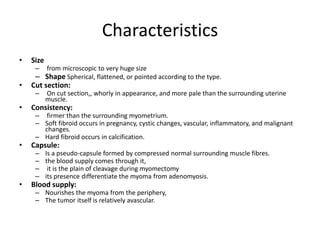 Characteristics
• Size
– from microscopic to very huge size
– Shape Spherical, flattened, or pointed according to the type.
• Cut section:
– On cut section,, whorly in appearance, and more pale than the surrounding uterine
muscle.
• Consistency:
– firmer than the surrounding myometrium.
– Soft fibroid occurs in pregnancy, cystic changes, vascular, inflammatory, and malignant
changes.
– Hard fibroid occurs in calcification.
• Capsule:
– Is a pseudo-capsule formed by compressed normal surrounding muscle fibres.
– the blood supply comes through it,
– it is the plain of cleavage during myomectomy
– its presence differentiate the myoma from adenomyosis.
• Blood supply:
– Nourishes the myoma from the periphery,
– The tumor itself is relatively avascular.
 