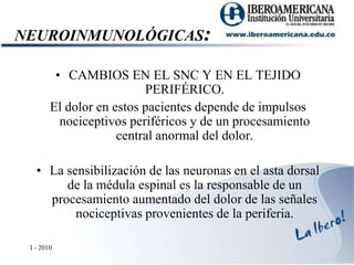 NEUROINMUNOLÓGICAS:CAMBIOS EN EL SNC Y EN EL TEJIDO PERIFÉRICO. El dolor en estos pacientes depende de impulsos nociceptivos periféricos y de un procesamiento central anormal del dolor.La sensibilización de las neuronas en el asta dorsal de la médula espinal es la responsable de un procesamiento aumentado del dolor de las señales nociceptivas provenientes de la periferia. I - 2010