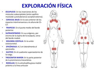 EXPLORACIÓN FÍSICA
• OCCIPUCIO: En las inserciones de los
músculos suboccipitales (entre apófisis
mastoide y protuberancia occipital externa).
• CERVICAL BAJO: En la cara anterior de los
espacios intertransversos a la altura de C5-
C7.
• TRAPECIO: En el punto medio del borde
posterior.
• SUPRAESPINOSO: En sus orígenes, por
encima de la espina de la escápula, cerca
del borde medial.
• SEGUNDA COSTILLA: En la unión
osteocondral.
• EPICÓNDILO: A 2 cm lateralmente al
epicóndilo.
• GLÚTEO: En el cuadrante superoexterno de
la nalga.
• TROCÁNTER MAYOR: En la parte posterior
de la prominencia trocantérea.
• RODILLAS: En la almohadilla grasa medial
próxima a la línea articular
 