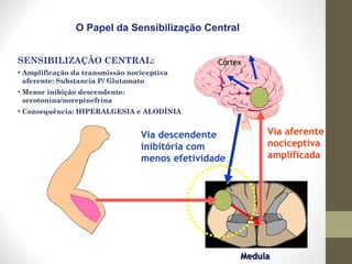 MMedulaedula
CórtexCórtex
Via aferente
nociceptiva
amplificada
Via descendente
inibitória com
menos efetividade
O Papel da Sensibilização Central
SENSIBILIZAÇÃO CENTRAL:
• Amplificação da transmissão nociceptiva
aferente: Substancia P/ Glutamato
• Menor inibição descendente:
serotonina/norepinefrina
• Consequência: HIPERALGESIA e ALODÍNIA
 