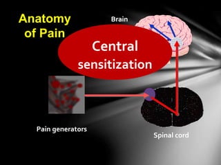 Pain generators
Spinal cord
BrainAnatomy
of Pain
Central
sensitization
 