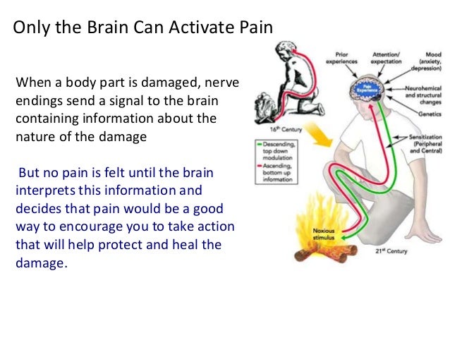 Fibromyalgia Fibromyalgia