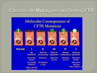 Classes de Mutações no Gene CFTR
 