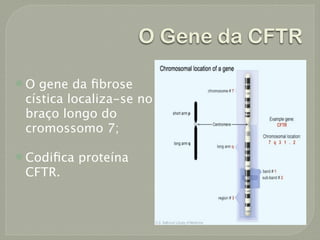 O Gene da CFTR

O  gene da ﬁbrose
 cística localiza-se no
 braço longo do
 cromossomo 7;

 Codiﬁca   proteína
 CFTR.
 