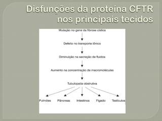 Disfunções da proteína CFTR
       nos principais tecidos
 