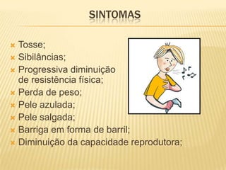SINTOMAS

 Tosse;
 Sibilâncias;
 Progressiva diminuição
  de resistência física;
 Perda de peso;
 Pele azulada;
 Pele salgada;
 Barriga em forma de barril;
 Diminuição da capacidade reprodutora;
 