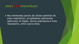 ONDEA (CFTR)É ENCONTRADA?
 Nas membranas apicais de células epiteliais do
trato respiratório, em glândulas submucosas
(pâncreas) no fígado, ductos sudoríparos e trato
reprodutivo, entre outros sítios.
 