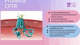 Proteína
CFTR
12
● Proteína Reguladora da
Condutância Transmembrana da
Fibrose Cística;
● É uma Glicoproteína;
● Membrana Apical de Células;
● Transportadores de Membrana
Acoplados ao ATP;
● Gene localizado no cromossomo 7;
● Forma um canal iônico essencial
para o transporte de íons,
permeável ao cloro.
 