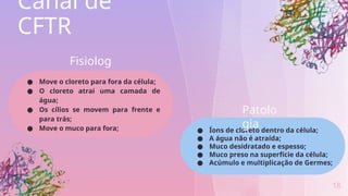 18
Canal de
CFTR
Fisiolog
ia
● Move o cloreto para fora da célula;
● O cloreto atrai uma camada de
água;
● Os cílios se movem para frente e
para trás;
● Move o muco para fora; ● Íons de cloreto dentro da célula;
● A água não é atraída;
● Muco desidratado e espesso;
● Muco preso na superfície da célula;
● Acúmulo e multiplicação de Germes;
Patolo
gia
 