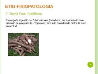 16
Prolongada ingestão de Tuber cassava (mandioca) em associação com
privação de proteínas (++ Triptofano) tem sido considerado factor de risco
para FEM.
 