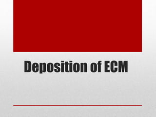 Deposition of ECM
 