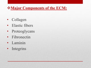 Major Components of the ECM:
• Collagen
• Elastic fibers
• Proteoglycans
• Fibronectin
• Laminin
• Integrins
 