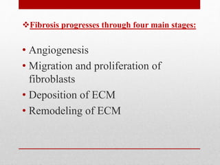 Fibrosis progresses through four main stages:
• Angiogenesis
• Migration and proliferation of
fibroblasts
• Deposition of ECM
• Remodeling of ECM
 