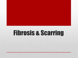 Fibrosis & Scarring
 