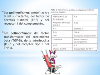*Los polimorfismos: proteínas A y
B del surfactante, del factor de
necrosis tumoral (TNF) y del
receptor 1 del complemento.
*Los polimorfismos: del factor
transformador del crecimiento
beta (TGF-β), de la interleucina
(IL)-6 y del receptor tipo II del
TNF-α.
 