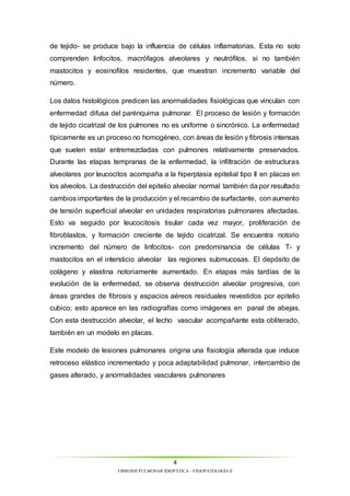 de tejido- se produce bajo la influencia de células inflamatorias. Esta no solo 
comprenden linfocitos, macrófagos alveolares y neutrófilos, si no también 
mastocitos y eosinofilos residentes, que muestran incremento variable del 
número. 
Los datos histológicos predicen las anormalidades fisiológicas que vinculan con 
enfermedad difusa del parénquima pulmonar. El proceso de lesión y formación 
de tejido cicatrizal de los pulmones no es uniforme o sincrónico. La enfermedad 
típicamente es un proceso no homogéneo, con áreas de lesión y fibrosis intensas 
que suelen estar entremezcladas con pulmones relativamente preservados. 
Durante las etapas tempranas de la enfermedad, la infiltración de estructuras 
alveolares por leucocitos acompaña a la hiperplasia epitelial tipo II en placas en 
los alveolos. La destrucción del epitelio alveolar normal también da por resultado 
cambios importantes de la producción y el recambio de surfactante, con aumento 
de tensión superficial alveolar en unidades respiratorias pulmonares afectadas. 
Esto va seguido por leucocitosis tisular cada vez mayor, proliferación de 
fibroblastos, y formación creciente de tejido cicatrizal. Se encuentra notorio 
incremento del número de linfocitos- con predominancia de células T- y 
mastocitos en el intersticio alveolar las regiones submucosas. El depósito de 
colágeno y elastina notoriamente aumentado. En etapas más tardías de la 
evolución de la enfermedad, se observa destrucción alveolar progresiva, con 
áreas grandes de fibrosis y espacios aéreos residuales revestidos por epitelio 
cubico; esto aparece en las radiografías como imágenes en panal de abejas. 
Con esta destrucción alveolar, el lecho vascular acompañante esta obliterado, 
también en un modelo en placas. 
Este modelo de lesiones pulmonares origina una fisiología alterada que induce 
retroceso elástico incrementado y poca adaptabilidad pulmonar, intercambio de 
gases alterado, y anormalidades vasculares pulmonares 
4 
FIBROSIS PULMONAR IDIOPÁTICA – FISIOPATOLOGÍA II 
 