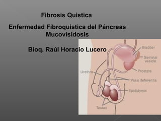 Fibrosis Quistica
Enfermedad Fibroquistica del Páncreas
           Mucovisidosis

      Bioq. Raúl Horacio Lucero
 