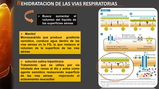 REHIDRATACION DE LAS VIAS RESPIRATORIAS 
 Busca aumentar el 
volumen del líquido de 
las superficies aéreas 
 Manitol 
Monosacárido que produce gradiente 
osmótico, conduce agua dentro de las 
vías aéreas en la FQ, lo que restaura el 
volumen de la superficie de las vías 
aéreas 
 solución salina hipertónica 
Tratamiento que se utiliza por vía 
inhalada dos veces al día y actúa como 
agente osmótico restaurando superficie 
de las vías aéreas mejorando el 
aclaramiento mucociliar 
 
