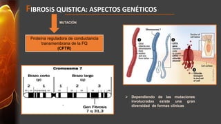FIBROSIS QUISTICA: ASPECTOS GENÉTICOS 
MUTACIÓN 
Proteína reguladora de conductancia 
transmembrana de la FQ 
(CFTR) 
 Dependiendo de las mutaciones 
involucradas existe una gran 
diversidad de formas clínicas 
 