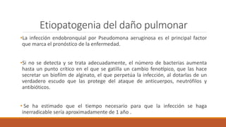 •La infección endobronquial por Pseudomona aeruginosa es el principal factor
que marca el pronóstico de la enfermedad.
•Si no se detecta y se trata adecuadamente, el número de bacterias aumenta
hasta un punto crítico en el que se gatilla un cambio fenotípico, que las hace
secretar un biofilm de alginato, el que perpetúa la infección, al dotarlas de un
verdadero escudo que las protege del ataque de anticuerpos, neutrófilos y
antibióticos.
• Se ha estimado que el tiempo necesario para que la infección se haga
inerradicable sería aproximadamente de 1 año .
Etiopatogenia del daño pulmonar
 