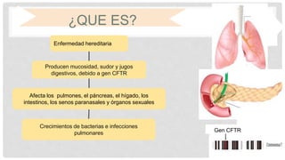 ¿QUE ES?
Enfermedad hereditaria
Afecta los pulmones, el páncreas, el hígado, los
intestinos, los senos paranasales y órganos sexuales
Producen mucosidad, sudor y jugos
digestivos, debido a gen CFTR
Crecimientos de bacterias e infecciones
pulmonares Gen CFTR
 